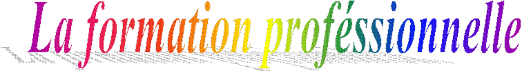 La formation prof�ssionnelle