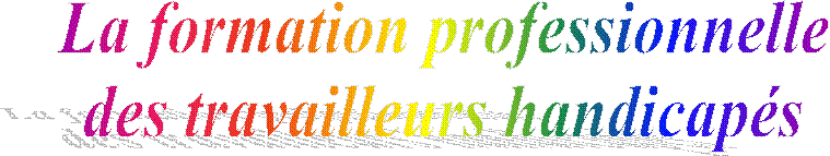 La formation professionnelle
des travailleurs handicap�s